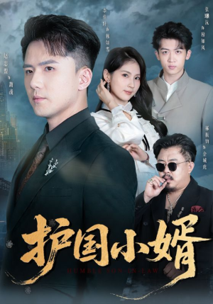 护国小婿(60集) 护国小婿(60集)短剧抢先看全集