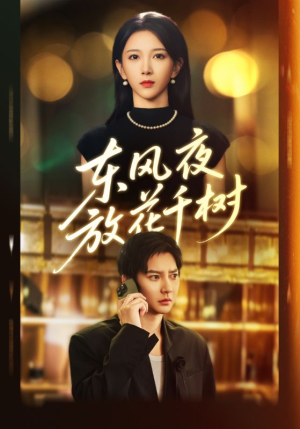 东风夜放花千树(91集) 东风夜放花千树(91集)短剧分享剧集