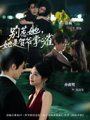 别惹她，她是贺爷掌心雀（69集）短剧小说在线看