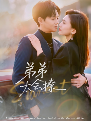 弟弟太会撩（81集）短剧上头又好看