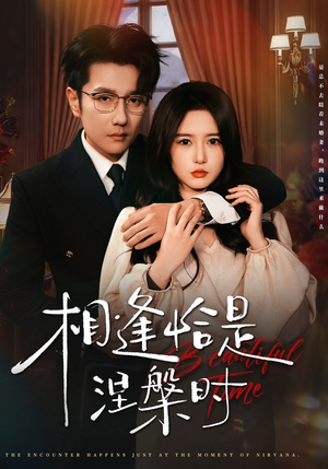 相逢恰是涅槃时（63集）演员表