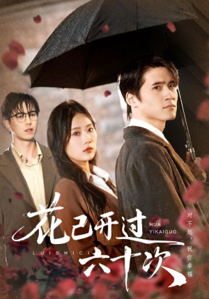花已开过六十次（72集）短剧太好看