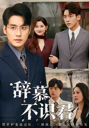 辞慕不识君(77集) 辞慕不识君(77集)高清无码免费看