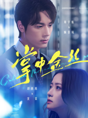 长姐她竟是隐藏大佬(60集) 长姐她竟是隐藏大佬(60集)在哪看