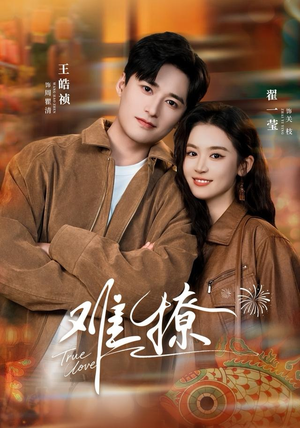 难撩（100集）最火爆的短剧