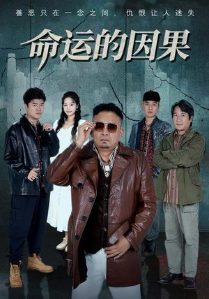 命运的因果(60集) 命运的因果(60集)免费短剧全集看