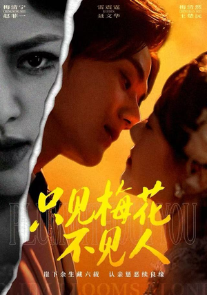 只见梅花不见人（63集）每日短剧分享