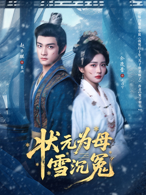 状元为母雪沉冤（58集）夸克网盘在线看