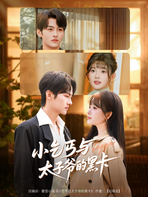 小乞丐与太子爷的黑卡（60集）短剧越看越精彩