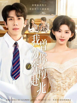 我曾为你奔南赴北（60集）全集免费观看