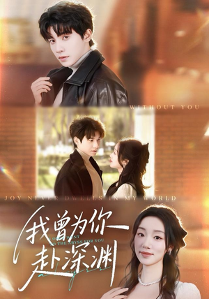 我曾为你赴深渊（63集）在线观看完整版