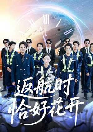 返航时恰好花开（101集）直接追到结尾