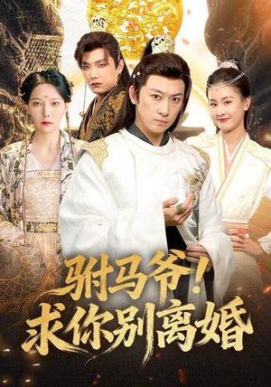 驸马爷！求你别离婚（80集）免费观看全集