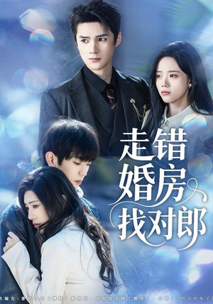 走错婚房找对郎(50集) 走错婚房找对郎(50集)精彩连连免费看