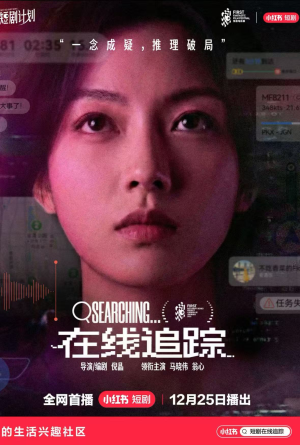 在线追踪（35集）短剧在线看