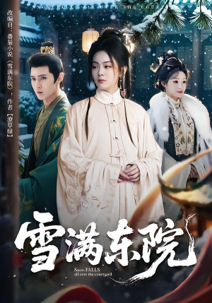 雪满东院（60集）短剧追不停