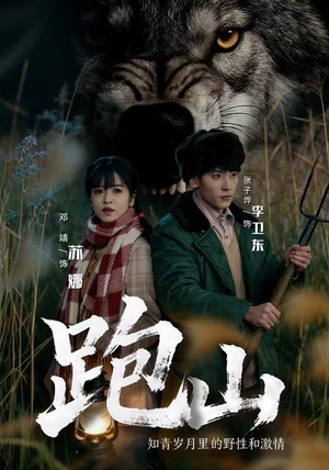 跑山：知青岁月里的野性和激情（83集）好看到停不下来