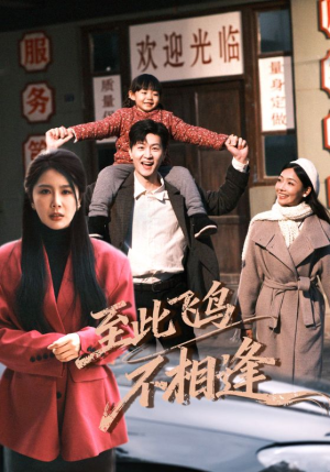 至此飞鸟不相逢（70集）热门短剧免费看