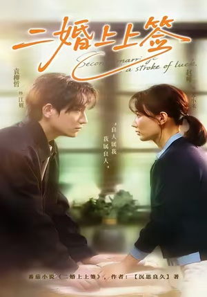 二婚上上签（71集）短剧片段分享