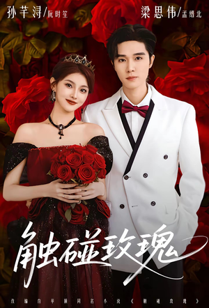 触碰玫瑰（80集）精彩短剧热播