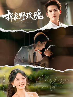 拆家野玫瑰（80集）第三季