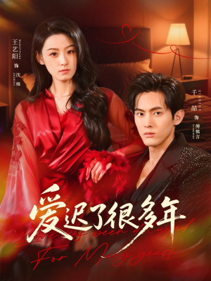 爱迟了很多年(73集) 爱迟了很多年(73集)大结局一气呵成