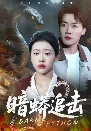 暗蟒追击（35集）更新时间