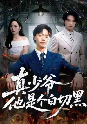 真少爷他是个白切黑（75集）热门短剧看不停