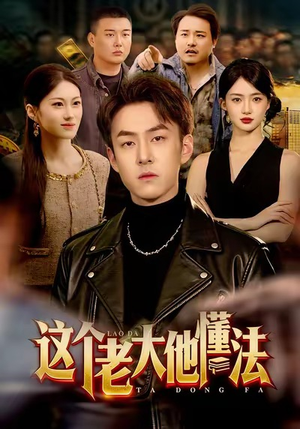 这个老大他懂法(100集) 这个老大他懂法(100集)短剧小说在线看