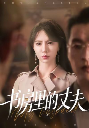 书房里的丈夫（100集）短剧分享片段