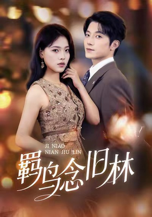 羁鸟念旧林（60集）免费短剧资源