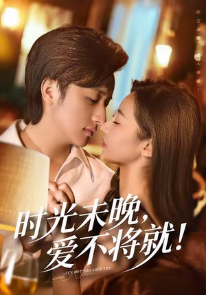 时光未晚爱不将就（55集）短剧视频分享