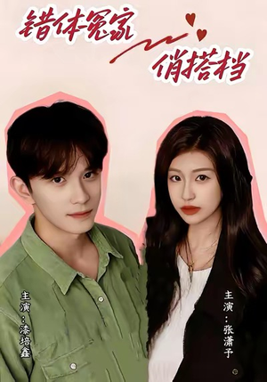错体冤家俏搭档（60集）1-102集