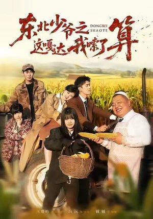 东北少爷之这嘎达我嗦了算（46集）精彩短剧推荐