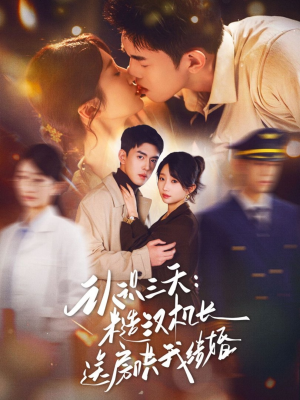 认识三天糙汉机长送房哄我结婚（71集）短剧介绍