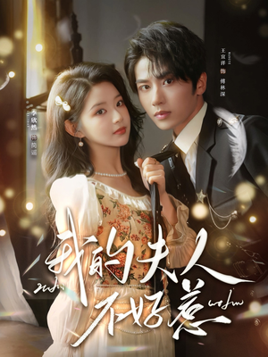 我的夫人不好惹(60集) 我的夫人不好惹(60集)最火爆短剧