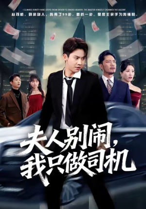 夫人别闹我只做司机（80集）百度网盘资源