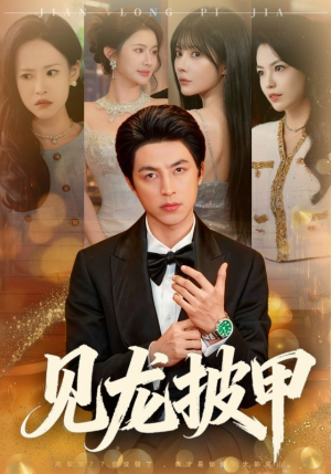 见龙披甲（70集）热门短剧分享