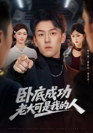 卧底成功老大可是我的人（99集）精彩连连免费看