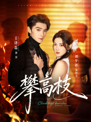 攀高枝（70集）热播古装短剧