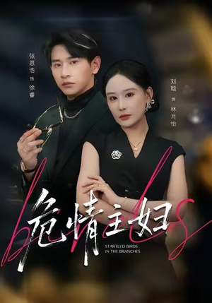 危情主妇（60集）最后一集