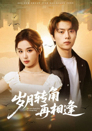 岁月转角再相逢（80集）不用花钱看全剧