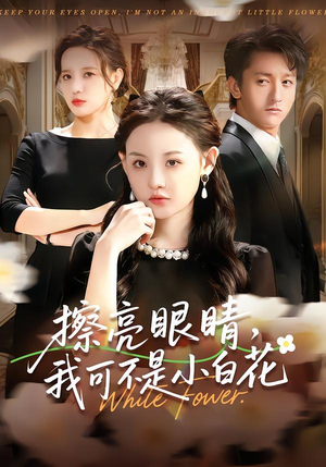 擦亮眼睛，我可不是小白花（60集）女主角是谁