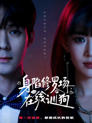 身陷修罗场，在线训狗（81集）最火短剧热播