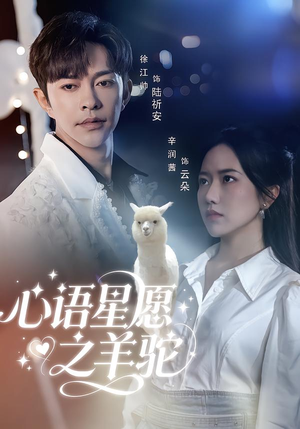 心语星愿之羊驼(60集) 心语星愿之羊驼(60集)精彩连连免费看