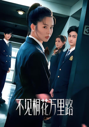 不见桐花万里路（71集）精彩好看的短剧