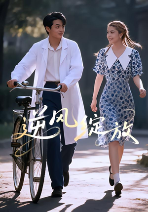 逆风绽放（55集）短剧精彩不断