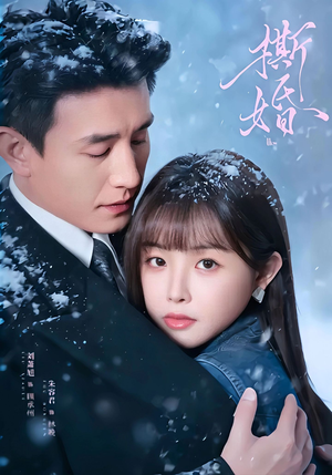 撕婚（23集）精彩短剧来了