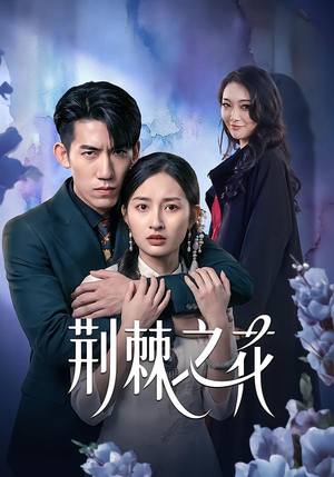 荆棘之花（100集）夸克网盘观看