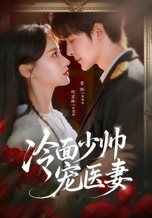 冷面少帅宠医妻（65集）一共多少集